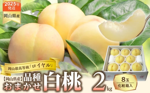 【令和７年発送分】岡山県産 白桃「ロイヤル」2kg（令和7年7月から8月発送）【 岡山県産 白桃 ロイヤル 晴れの国おかやま 】 1258352 - 岡山県備前市