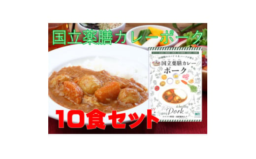 30種のスパイスを使用　国立薬膳カレーポーク　200g×10食セット　小麦粉・ラード不使用【1584736】 1983003 - 東京都国立市