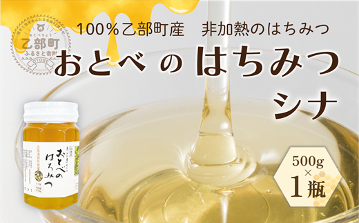 ＜おとべのはちみつ　シナ500g×1本＞北海道 北海道産 道産 天然 非加熱 シナ フル 爽やか  単花蜜 生はちみつ はちみつ ハチミツ 蜂蜜 おとべのはちみつ