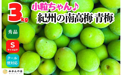 [2025年6月上旬出荷]南高梅 青梅 秀品 小粒ちゃん 約3kg Sサイズ以下 和歌山県産 紀州有田 産地直送 クール便対応 梅酒作り用 梅ジュース作り用