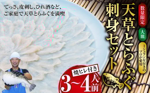 【数量限定】 【大皿】 【ミシュラン星付きのプロが愛用】 天草 とらふぐ 刺身 セット 3~4人前 焼ヒレ 付き 【2025年12月下旬～2026年3月下旬まで順次発送予定】ふぐ 河豚 フグ トラフグ 刺身 ふぐ刺し 皮刺し ひれ酒 1545510 - 熊本県上天草市