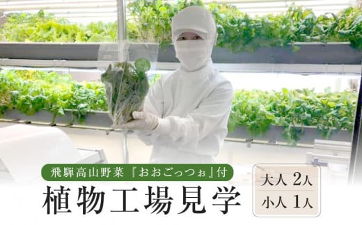 飛騨高山野菜『おおごっつぉ』付植物工場見学（大人２人、小人１人）| 工場見学 体験学習 長期連休 グリーンリーフ 園芸 チケット 旅行 飛騨高山 株式会社FDS HS005 1756072 - 岐阜県高山市