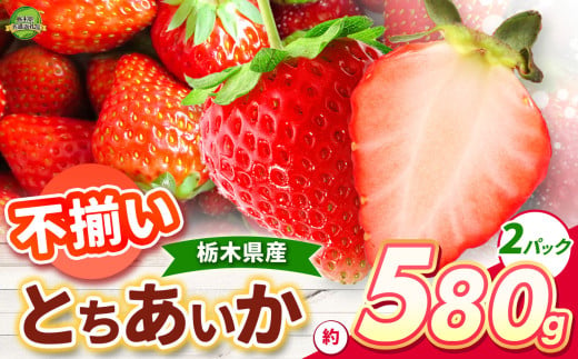 とちあいか 不揃い 580g | 果物 くだもの フルーツ 野菜 やさい ヤサイ 苺 イチゴ いちご とちあいか 新鮮 甘い 数量 限定 美味しい 果物 共通返礼品 フルーツ デザート 栃木県 那珂川町 送料無料