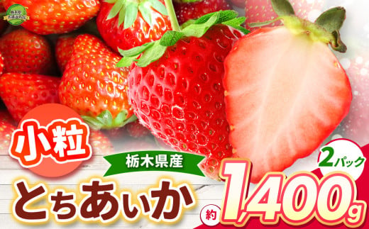 とちあいか 小粒 1400g | 果物 くだもの フルーツ 野菜 やさい ヤサイ 苺 イチゴ いちご とちあいか 新鮮 甘い 数量 限定 美味しい 果物 共通返礼品 フルーツ デザート 栃木県 那珂川町 送料無料