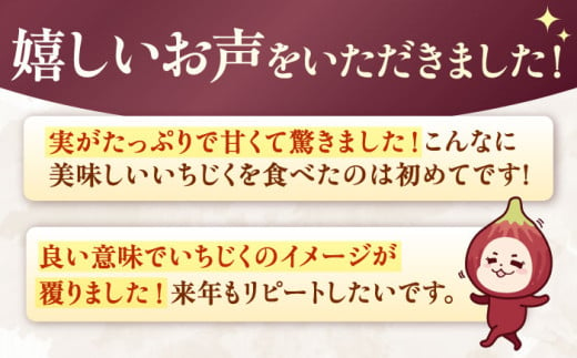 いちじく とよみつひめ 秀品 1.2kg イチジク 無花果 300g×4パック