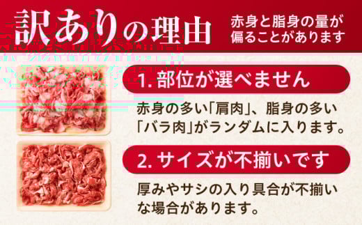 訳あり 不揃い ふぞろい 部位おまかせ 佐賀牛 牛肉 肉 カレー すき焼き シチュー しゃぶしゃぶ 肩 バラ 国産牛 黒毛和牛