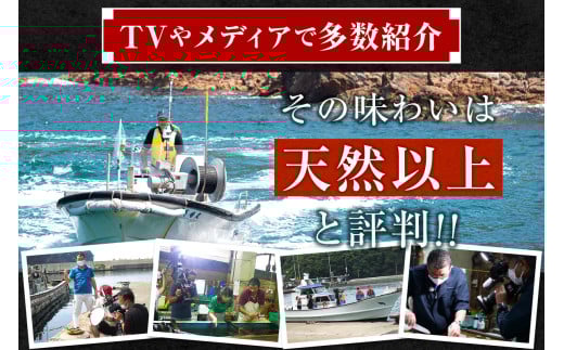 アイテムID:420179の画像3枚目
