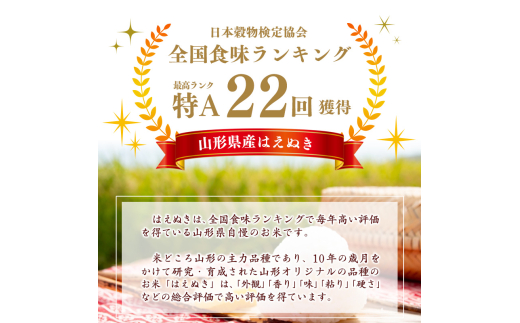 山形県寒河江市のふるさと納税 【2025年2月中旬】令和6年産 はえぬき 10kg（5kg×2袋） 山形県産 2024年産 【 精米 白米 東北 山形産 国産 10キロ 5キロ 2袋 食品 お取り寄せ 小分け ご飯 発送時期 配送時期 発送月 配送月 選べる ランキング 入賞歴 銘柄米 ロングセラー ブランド米 寒河江市 】020-C-JA010-2025-2中