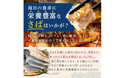 千葉県南房総市のふるさと納税 【訳あり】骨取り塩さば 【3月から順次発送】 切身1kg（500g×2袋） mi0012-0095 【塩サバ 鯖 切り身 骨なし 骨取り 海鮮 魚介 おつまみ おかず 惣菜 弁当 冷凍】