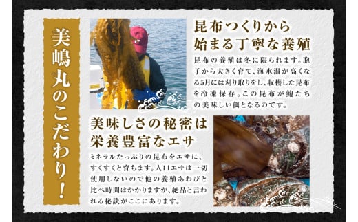 アイテムID:420179の画像5枚目