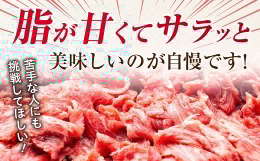 訳あり 不揃い ふぞろい 部位おまかせ 佐賀牛 牛肉 肉 カレー すき焼き シチュー しゃぶしゃぶ 肩 バラ 国産牛 黒毛和牛