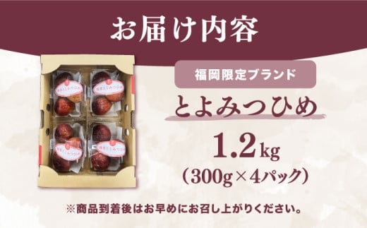 いちじく とよみつひめ 秀品 1.2kg イチジク 無花果 300g×4パック