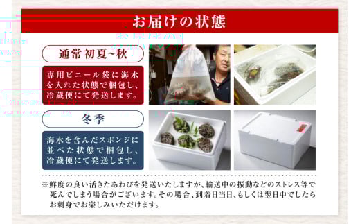 アイテムID:420179の画像7枚目