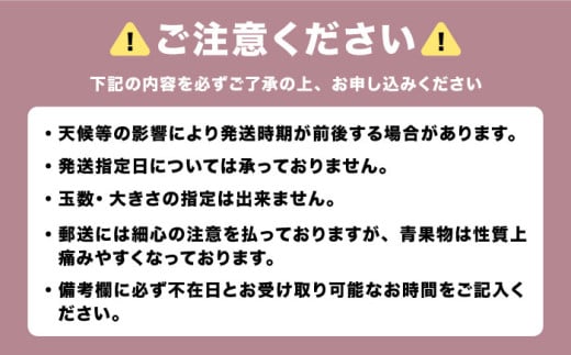 福岡県桂川町のふるさと納税 【2025年8月発送開始】【先行受付】JAふくおか嘉穂 いちじく とよみつひめ 秀品 1.2kg （300g×4パック） ▼  イチジク 無花果 フルーツ 果物 桂川町/福岡嘉穂農業協同組合[ADAY001] 10000円 1万円