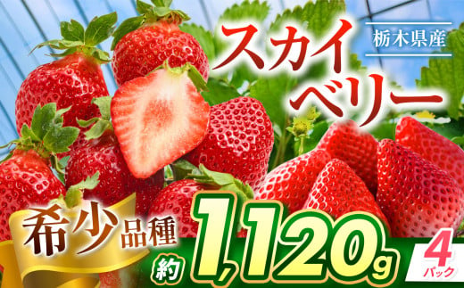 スカイベリー 1120g | 果物 くだもの フルーツ 苺 イチゴ いちご 野菜 ヤサイ やさい スカイベリー 希少品種 新鮮 甘い 数量 限定 美味しい 果物 共通返礼品 フルーツ デザート 栃木県 那珂川町 送料無料