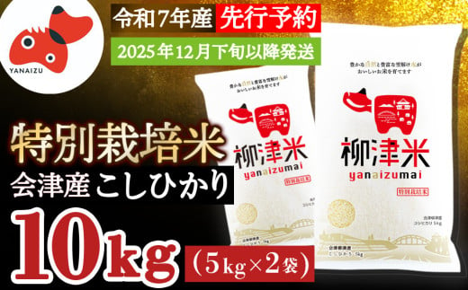 ＜12月下旬より順次発送＞柳津産のおいしい特別栽培こしひかり「柳津米」＜令和7年産先行予約＞【1590762】