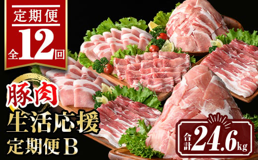 isa648 【定期便12回】豚肉生活応援定期便B(合計24.6kg) 国産 切り落とし バラスライス 肩ロース ロース しゃぶしゃぶ 生姜焼き 真空包装 真空パック 小分け ぶたにく 豚 肉 詰合せ 詰め合わせ 冷凍 【サンキョーミート株式会社】 1982047 - 鹿児島県伊佐市