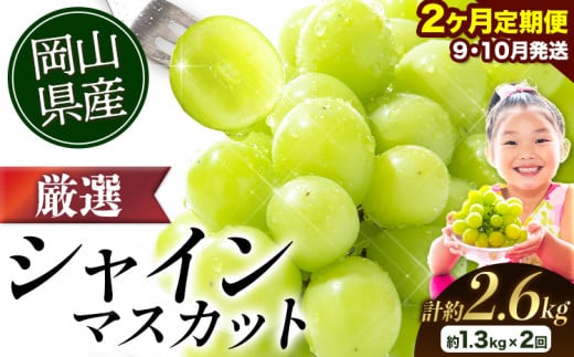 [先行予約]厳選 シャインマスカット 2か月 定期便 1.3kg 2回発送 計約2.6kg [2025年9月上旬-11月中旬頃出荷] ぶどう マスカット フルーツ 数量限定 果物 岡山 厳選 シャインマスカット 晴王 ブドウ シャインマスカット 岡山県産 先行予約 シャインマスカット 大粒 シャインマスカット 晴王 シャインマスカット 岡山 シャインマスカット 定期便 シャインマスカット 定期