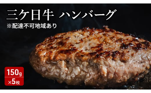 三ケ日牛ハンバーグ 150g×5枚セット 三ケ日牛 牛肉 ハンバーグ セット 冷凍 惣菜 静岡 浜松市[№5360-0285]