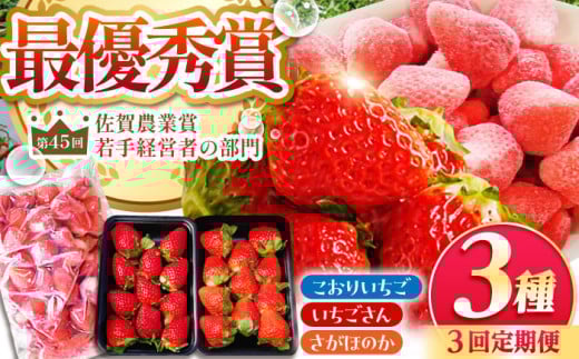 【全3回定期便】いちご食べ尽くし定期（さがほのか いちごさん こおりいちご）【むらおか農園】 [HAF027] 980754 - 佐賀県江北町