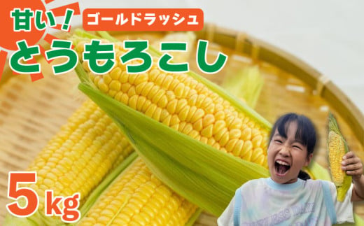 【 先行予約 】 とうもろこし 5kg スイートコーン ゴールドラッシュ 野菜 甘い 採れたて 産地直送 夏野菜 数量限定 朝採れ 農家直送 高糖度 期間限定 新鮮 コーン 旬 サラダ 徳島県 阿波市 1323736 - 徳島県阿波市