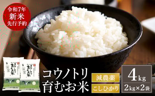 【令和7年産先行予約】新米 減農薬 米 特別栽培米 4kg コウノトリ育むお米 但馬産 こしひかり 兵庫県産(2kg×2袋)（94-003）減農薬 お米 4キロ 精米 白米 コウノトリ米 コシヒカリ 新米 コメ こめ ご飯 ライス 減農薬米 1090762 - 兵庫県豊岡市