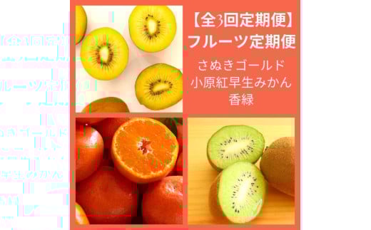 【全3回フルーツ定期便】さぬき讃フルーツさぬきゴールドと小原紅早生みかんと香緑【D-13】