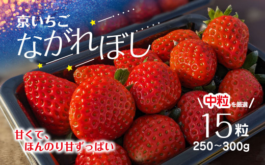 いちご様返品用出品 楽天市場】【ふるさと納税】【全4回定期便】紅白いちご（恋