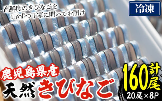 ＜冷凍＞鹿児島県阿久根産 天然きびなごのお刺身(計160尾・20尾×8パック) 国産 魚介 魚貝 海産物 鮮魚 刺身 天ぷら 冷凍配送 キビナゴ 海鮮丼 食品 セット 詰め合わせ 水産加工品【濱崎魚類】a-12-227-z