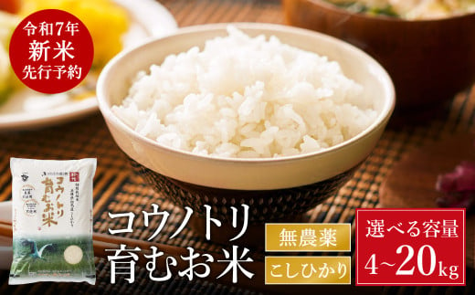 [令和7年産先行予約]新米 無農薬 米 4kg・5kg・8kg・10kg・15kg・20kg コウノトリ育むお米 新米 但馬産 こしひかり 兵庫県産(94-001・94-002)無農薬 お米 精米 白米 コウノトリ米 コシヒカリ 農薬不使用 特別栽培米 新米 予約 コメ こめ ご飯 ライス 無農薬米