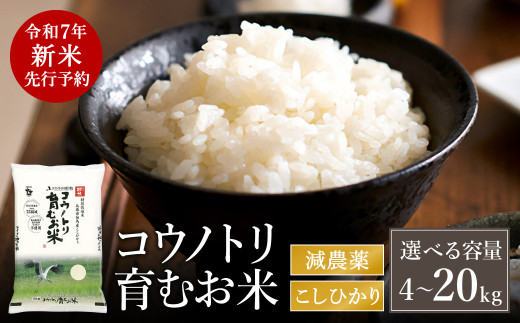 [令和7年産先行予約]新米 減農薬 米 特別栽培米 4kg・5kg・8kg・10kg・15kg・20kg コウノトリ育むお米 但馬産 こしひかり 兵庫県産(94-003・94-004)減農薬 お米 精米 白米 コウノトリ米 コシヒカリ 新米 コメ こめ ご飯 ライス 減農薬米