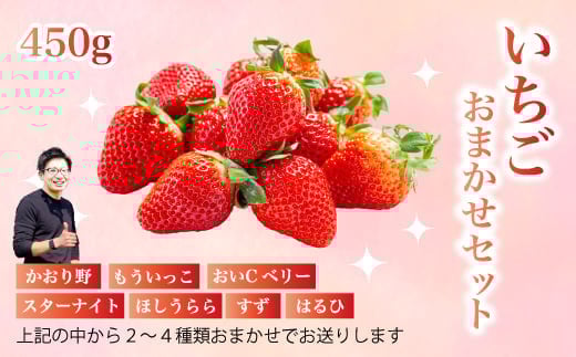 フルーツ農園のおまかせ【いちご】 450g イチゴ 苺 フルーツ 果物 広島県 三原市 059022 1967655 - 広島県三原市
