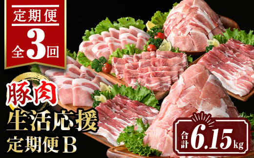 isa646 【定期便3回】豚肉生活応援定期便B(合計6.15kg) 国産 切り落とし バラスライス 肩ロース ロース しゃぶしゃぶ 生姜焼き 真空包装 真空パック 小分け ぶたにく 豚 肉 詰合せ 詰め合わせ 冷凍 【サンキョーミート株式会社】 1982049 - 鹿児島県伊佐市