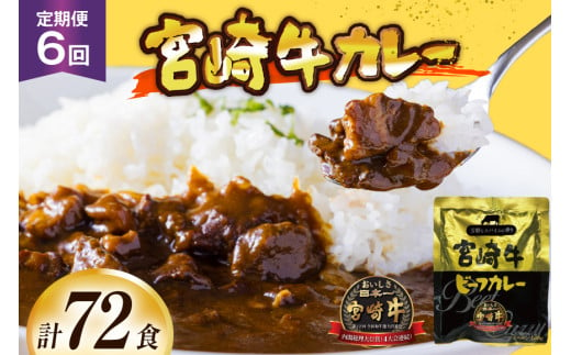 カレー 6回 定期便 レトルト 宮崎牛カレー 160g 12袋 総計72袋 [九州産商 宮崎県 日向市 452061183] 小分け ビーフカレー 宮崎 牛 常備食 保存食 中辛 宮崎牛 備蓄