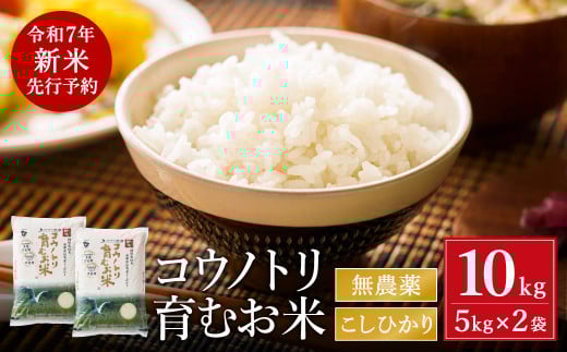 【令和7年産先行予約】新米 無農薬 米 10kg コウノトリ育むお米 新米 但馬産 こしひかり 兵庫県産(5kg×2袋)（94-002）無農薬 お米 10キロ 精米 白米 コウノトリ米 コシヒカリ 農薬不使用 特別栽培米 新米 予約 コメ こめ ご飯 ライス 無農薬米 919998 - 兵庫県豊岡市