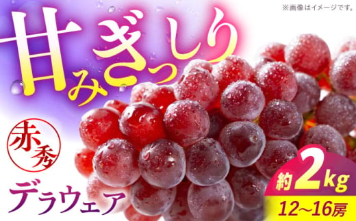 【先行予約】【8月上旬から8月中旬に順次発送】 ぶどう デラウェア 2kg（12から16房） 赤秀 露地栽培 ブドウ 果物 くだもの フルーツ ぶどう 葡萄 三次市/西田ぶどう園 [APCM010]