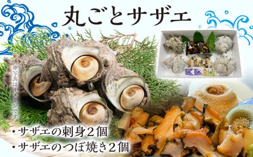 丸ごとサザエ さざえ 栄螺 貝 魚介 海鮮 刺身 つぼ焼き サザエ サザエの刺身２個 サザエのつぼ焼き２個 玄界灘 福岡 冷凍 お取り寄せ 海産物 さしみ 刺し身 グリル 殻付き レンジ おつまみ つまみ 肴