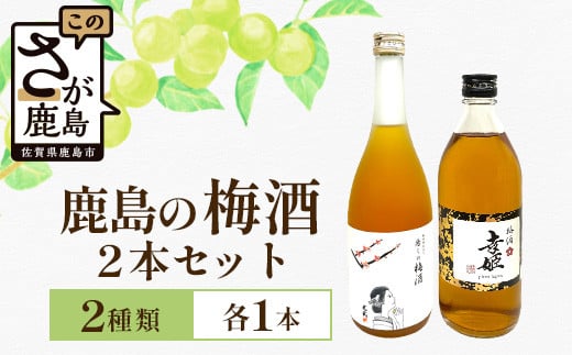 【梅酒セット】鹿島の梅酒2本セット 【光武 癒しの梅酒 720ml 1本】・【幸姫梅酒 500ml 1本】[梅酒 うめ酒 セット 梅酒セット 2本 お酒 酒 梅 梅果肉 すっきり 酸味 おすすめ 人気 送料無料] B-811