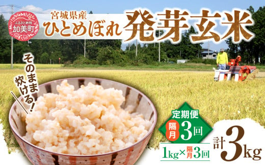 定期便 隔月 3ヶ月 簡単に炊ける 宮城県産 ひとめぼれ 発芽玄米 計3kg ( 1kg × 3回 )  / 菅原商店 / 宮城県 加美町