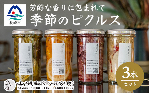 枕崎産かつお節と地元野菜の ピクルス 3種セット～芳醇な香りに包まれて～ A8-60【1166371】 1526374 - 鹿児島県枕崎市