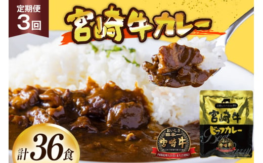 カレー 3回 定期便 レトルト 宮崎牛カレー 160g 12袋 総計36袋 [九州産商 宮崎県 日向市 452061182] 小分け ビーフカレー 宮崎 牛 常備食 保存食 中辛 宮崎牛 備蓄