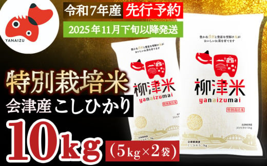 ＜11月下旬より順次発送＞柳津産のおいしい特別栽培こしひかり「柳津米」＜令和7年産先行予約＞【1590449】