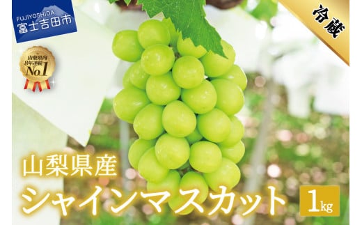 【2025年先行予約】数量限定！山梨県産シャインマスカット約1㎏（2房）  シャインマスカット 数量限定 山梨県産 フルーツ 果物 2025年 先行予約 旬 ぶどう 高級 山梨 富士吉田