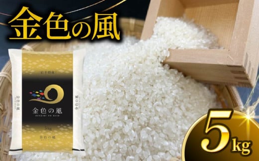 金色の風 精米 5kg 岩手県産 米 白米 はくまい コメ rice ごはん 常温 常温保存 保存 農家 農作物 栄養 夕飯 大船渡 三陸 岩手県 国産 1983192 - 岩手県大船渡市