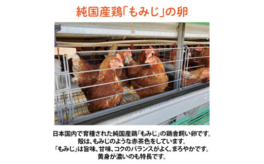 岩手県紫波町のふるさと納税 純国産鶏【さくらともみじ】純たまご30個入り 破損保証5個を含む【12ヶ月連続お届け】 (AJ016-1)