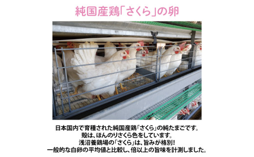 岩手県紫波町のふるさと納税 純国産鶏【さくらともみじ】純たまご30個入り 破損保証5個を含む【12ヶ月連続お届け】 (AJ016-1)