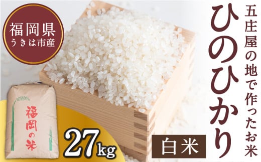 【特Aランク米】五庄屋の地で作ったお米 ひのひかり 白米 (27kg)【Go庄屋合同会社】ヒノヒカリ こめ コメ ごはん ご飯 福岡県うきは市産 九州産 1999189 - 福岡県うきは市