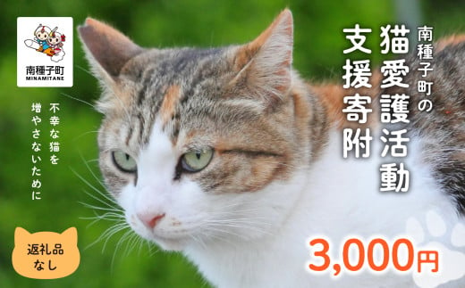  《返礼品なし》 猫愛護活動支援 3,000円 猫ちゃん 猫 ねこ 動物 保護 愛護 保護活動 応援 支援 寄付 南種子町 鹿児島 かごしま