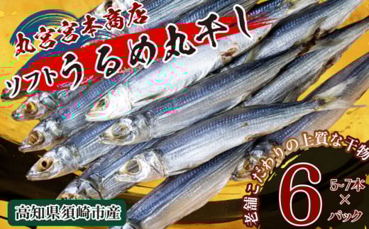 うるめの丸干し(ソフト) 6パック 鰯 煮干し 真いわし 真鰯 稚魚 おやつ 乾物 魚介 加工品 ウルメ 丸宮 宮本 商店 土佐 海洋深層水 ミネラル 高知県 須崎市 MMY045 1587922 - 高知県須崎市