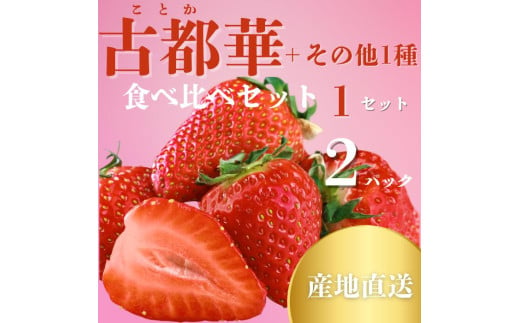 【数量限定】 奈良のブランドいちご２種（古都華と他１種）食べくらべセット (他１種は、かおりの・珠姫・奈乃華・ならあかり・あすかルビーからいずれか) いちご 苺 イチゴ 奈良県認証 めいとく農園 奈良県 奈良市 奈良 なら 7-192 1982321 - 奈良県奈良市